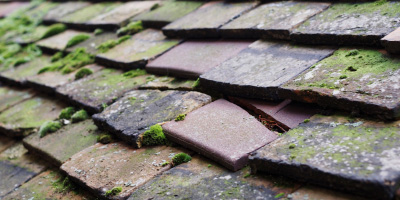 Llanddewi Rhydderch roof repair costs